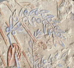 spiritsdancinginthenight:King Akhenaten offering an olive branch to the AtenNew Kingdom, 18th Dynasty, Amarna Period, Egypt, c.  1345 B.C.  