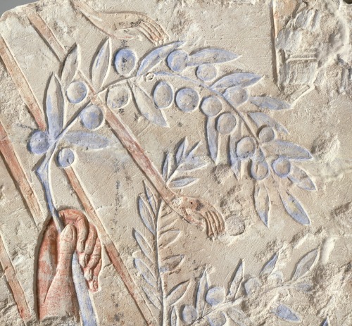 spiritsdancinginthenight:King Akhenaten offering an olive branch to the AtenNew Kingdom, 18th Dynast