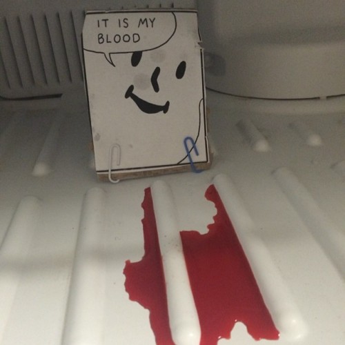 therealhamster:  just opened my friends freezer