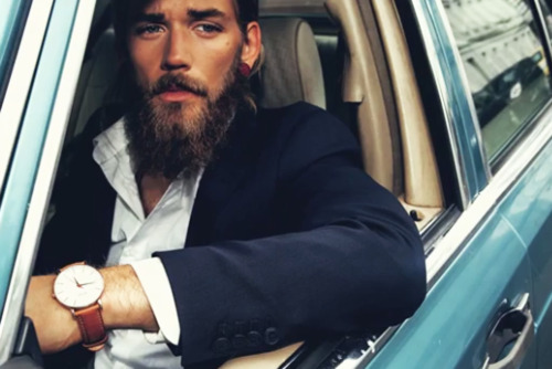 Beard Necessities
