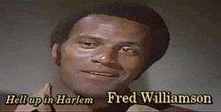 el-mago-de-guapos: Fred Williamson Hell Up