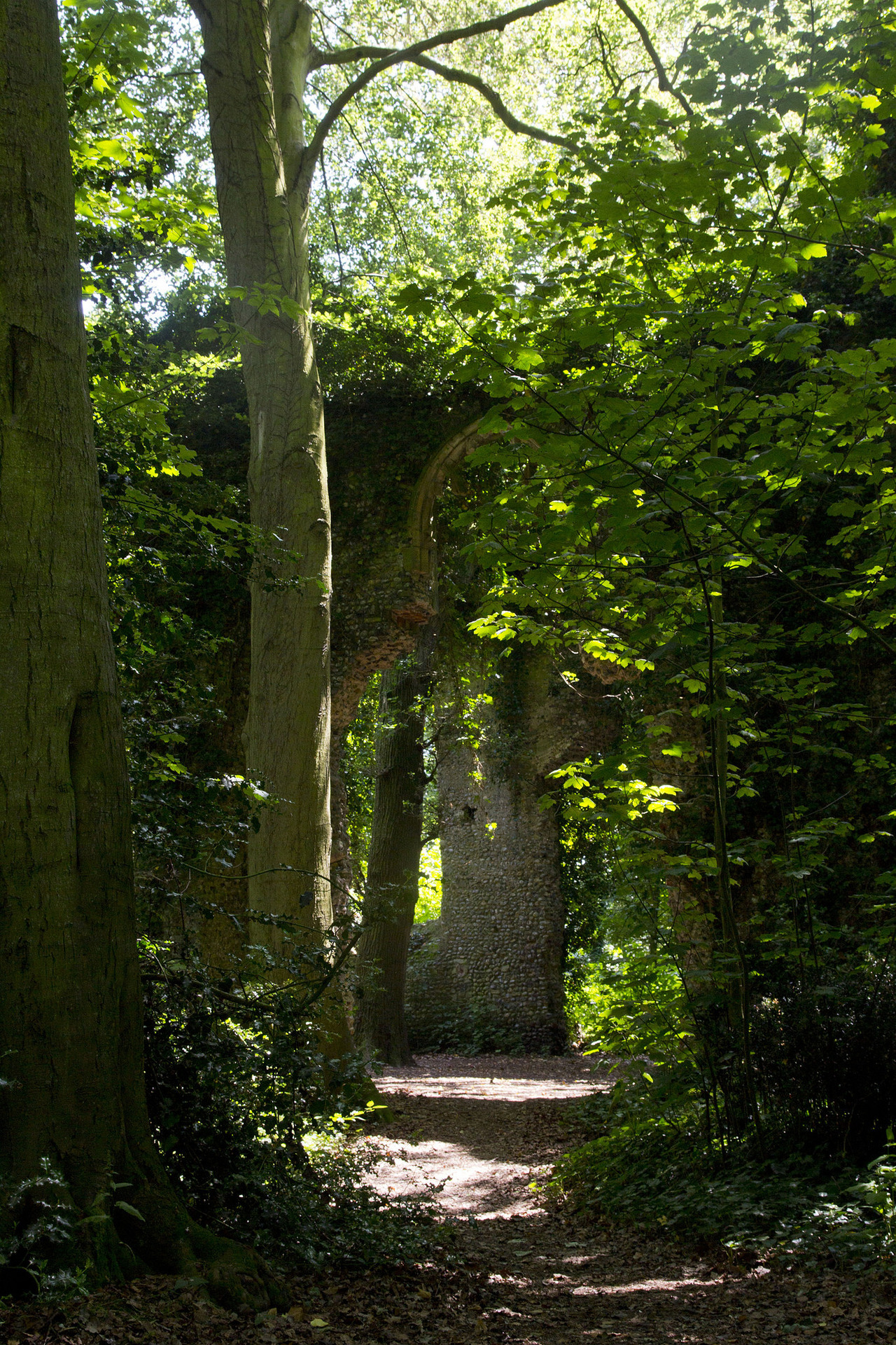 90377:    St Mary, East Somerton by chiron3636  
