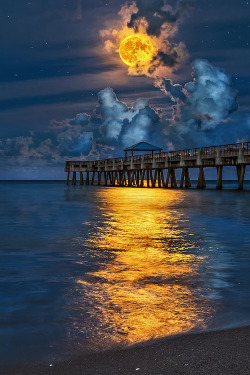 atmospheric-phenomena:  Full Harvest Moon over Juno Beach Pier by Justin Kelefas 