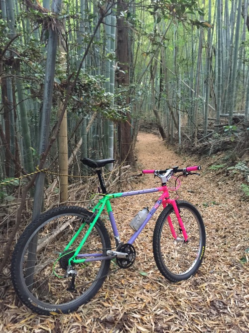 xizang325: ２０１５・５・１０　近隣里山散策　里山アテンダントな為、露払いではなく蜘蛛の巣払い。ﾀｯﾌﾟﾘ顔面に蜘蛛の巣を喰らい戦意喪失orz　　いよいよ里山もシーズンオフだなぁ・・・