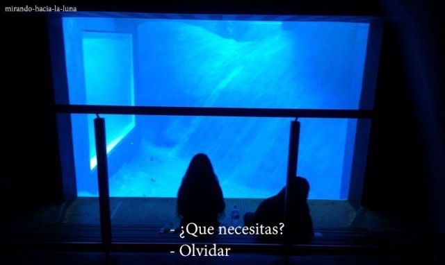 sophyelopez:  Solo quiero olvidar todo lo que he vivido, todos los malos recuerdos