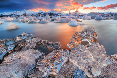 nubbsgalore:  photos from jokulsarlon, iceland by (click pic) iurie belegurschi,christian lim and edwin martinez 