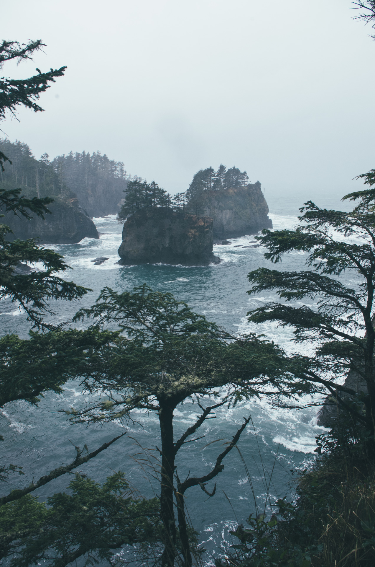 missbluespruce: Finding the end of the road