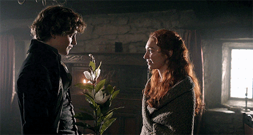 resurgo:Poldark l 3.08A rare bloom, for one still rarer.