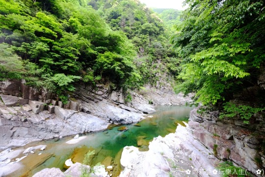 西莉亞 玩樂人生 四國 德島 搭乘纜車泡秘湯 和之宿祖谷溫泉旅館 祖谷秘境春夏秋冬萬種風情值得旅人探尋