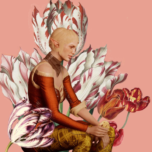 morripan: delphinium | daffodil  | tulip boldness | chivalry | charity