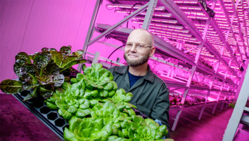 mothernaturenetwork: How to farm without a fieldThese pioneers are sprouting produce indoors, no soi