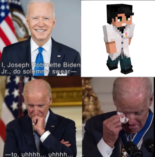 lironthehalfdragon - Gay loser