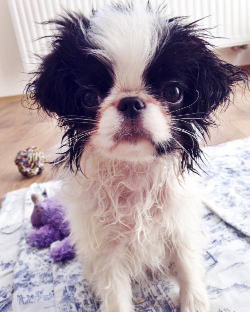 not the biggest fan of baths