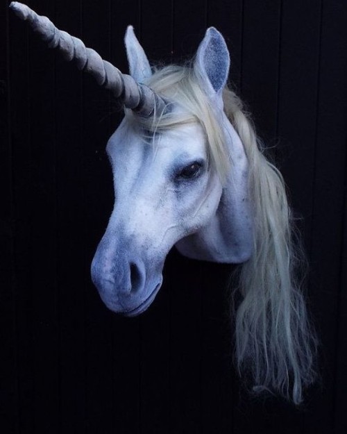 beautifulbizarremagazine:  This certainly has cast a spell over me. Stunning unicorn faux taxidermy by @brokenhare.⁣ .⁣ .⁣ .⁣         posted on Instagram - https://ift.tt/331URhc