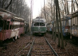 filthcityphotography:  filthcityphotography:  Abandoned trolley graveyard  Fall ‘14  2000 notes