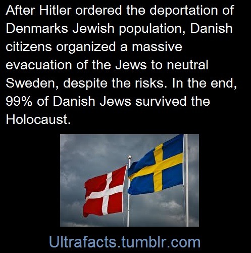 oft-goes-awry:  ultrafacts:  Sources: 1 2/2/2/2 3 4/4 5 6/6 7 8 9 10 Follow Ultrafacts for more facts  “Congratulations, it’s a Viking.” I’m done. 