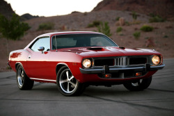 americanmusclepower:  1973 Plymouth Cuda
