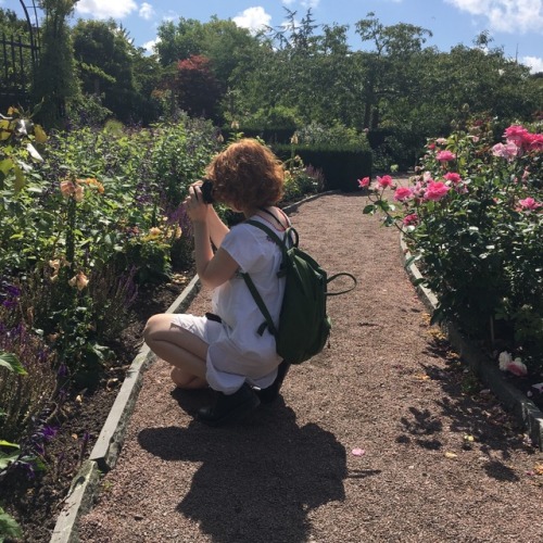 peachypetrichor:
“we visited the garden society of gothenburg today💌✨🌹
”