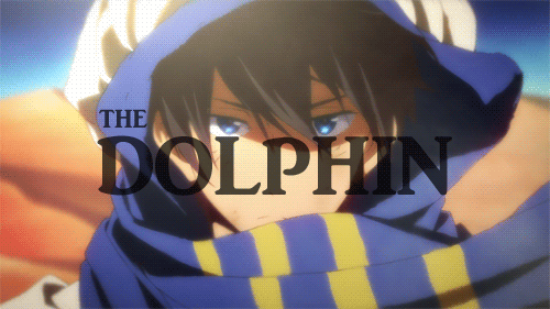 dolphinharuka:  The Shark and The Dolphin 