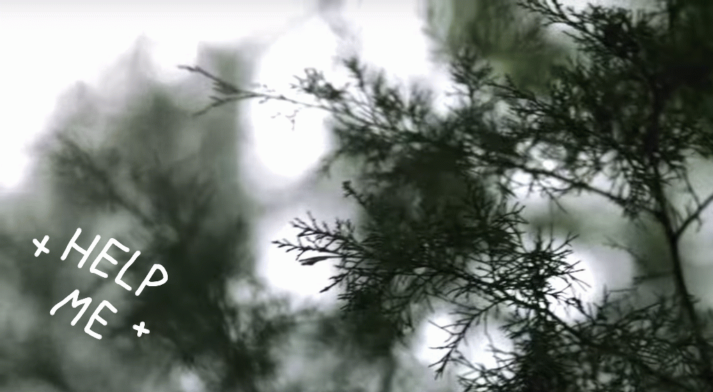 woechester:  Ride // Twenty One Pilots (insp.) 