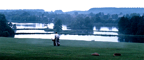 If Only It Could Be Like This Always Always Summer, Always Alone, The Fruit Always Ripe.