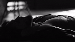 silverskinsrepository:   Artur Farad 