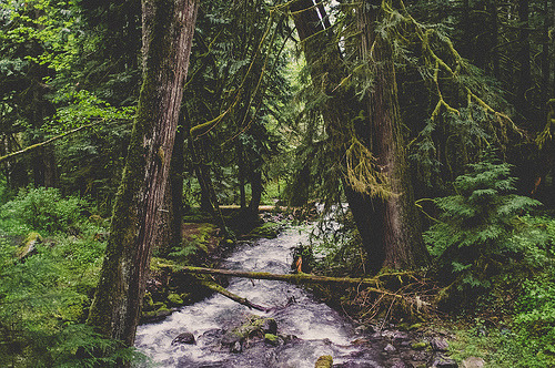 givncvrlos:  May 29th, 2013 Day 149/365North Cascades Ryan Matthew 