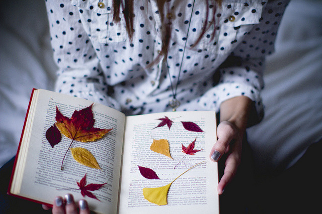 enchanting-autumn:  Dry [EXPLORED] by Halley Alexa on Flickr. 