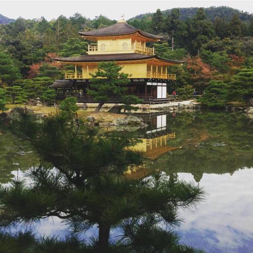 peppermint-moon: Last day in Kyoto… Glad I got to see Kankakuji before flying back to Sendai 