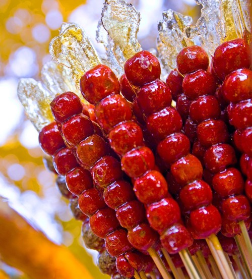 eight-immortals: Tanghulu (糖葫芦; táng húlú; literally “sugar gourd”)A favorite winter snack of childr