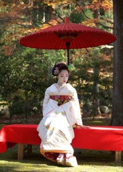 geisha-kai:  December 2015: senior maiko Mamefuji of Gion Kobu by susanoo on Ganref