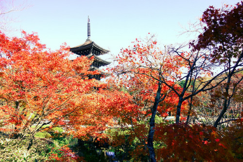 pagoda in jogi-san(宮城　定義山) by tatsuya.okuhara on Flickr.