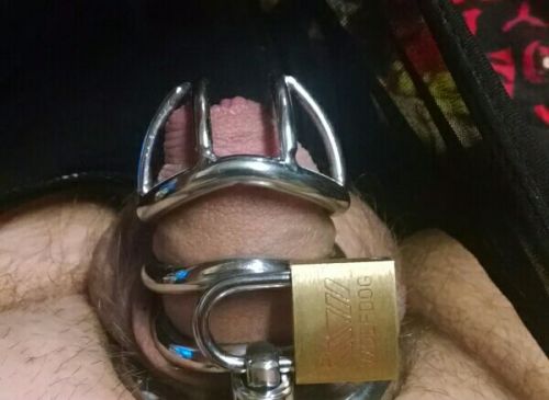 XXX kitty-mischief:  My locked cock order by photo