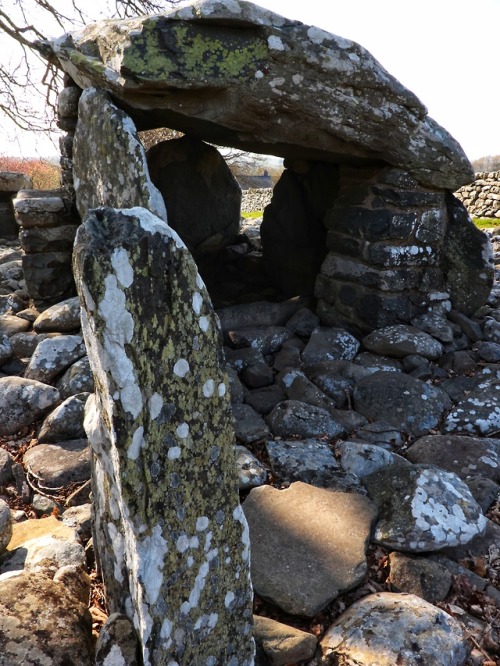 Dyffryn Ardudwy Neolithic Burial Chambers, Dyffryn Ardudwy, North Wales, 21.4.18. No matter how many