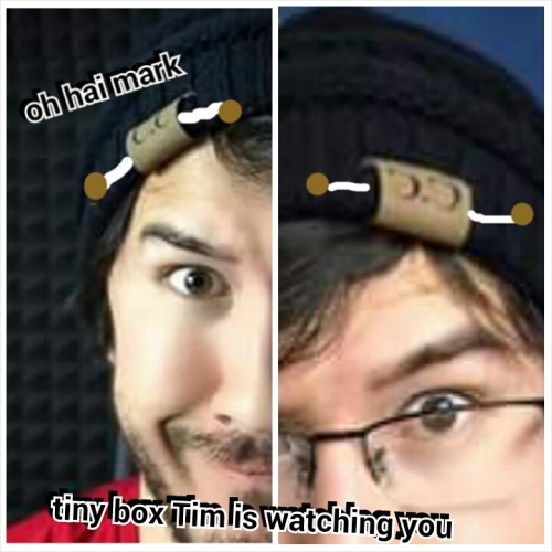 tiny box Tim is still watching you all