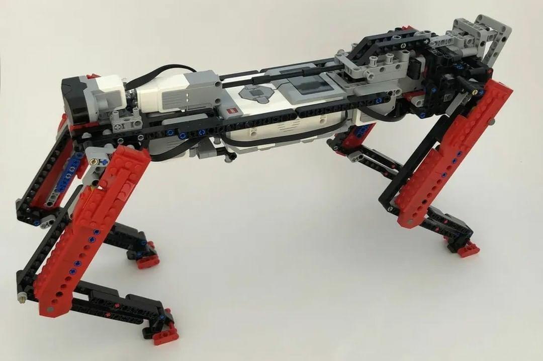 Student creates Lego replica of veterinary college
