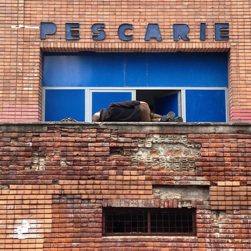 Obor Central Halls, Bucharest, Ziduri Mosi Street, no. 3-5, District 2.