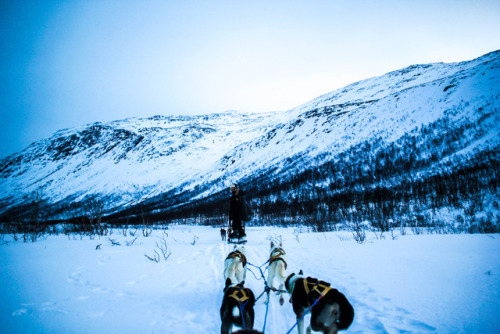 worldstreetjournal:Husky sledding in Tromsø, Norway in the Blue HourIn January, the sun rises for al