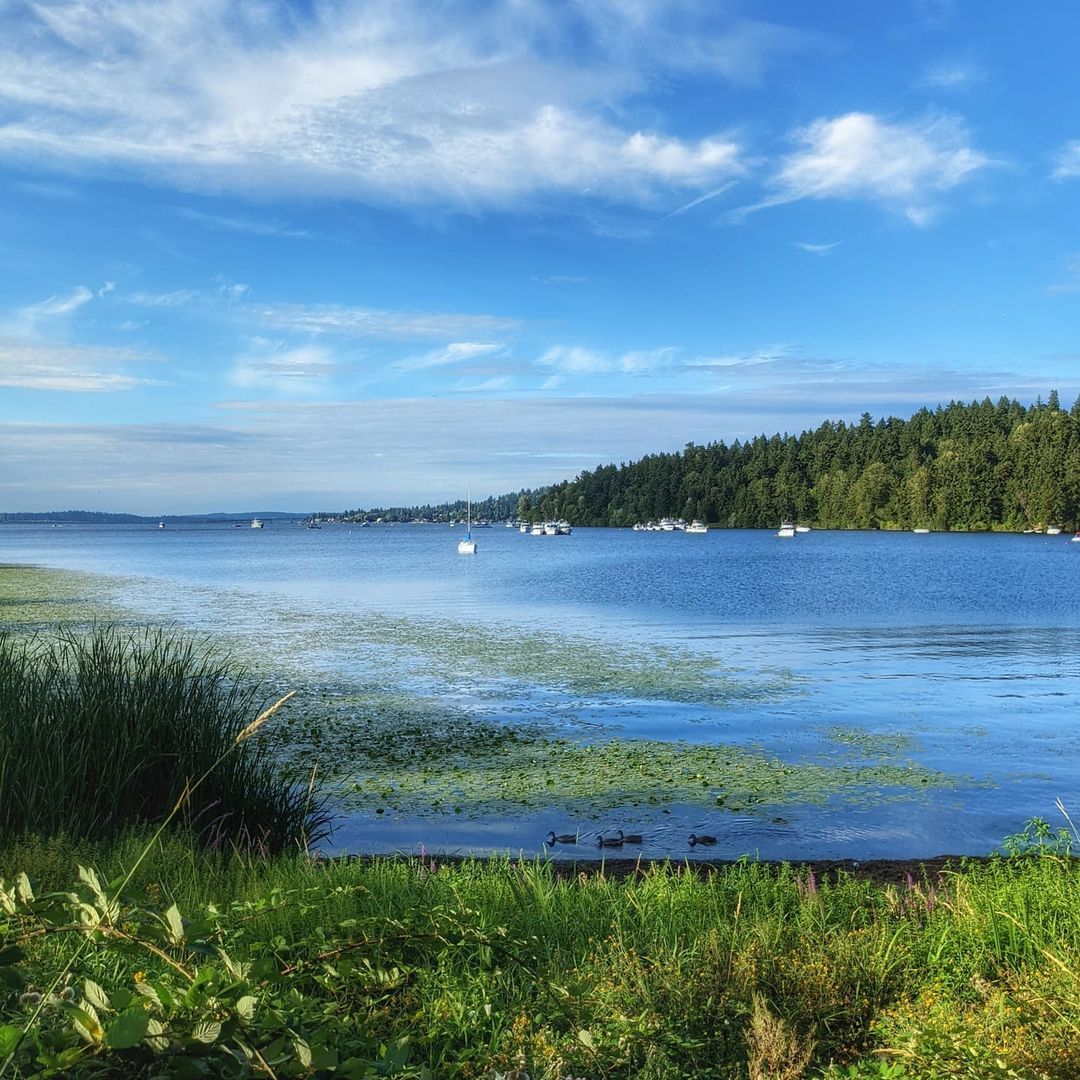 sewardpark-tumblr-gallery