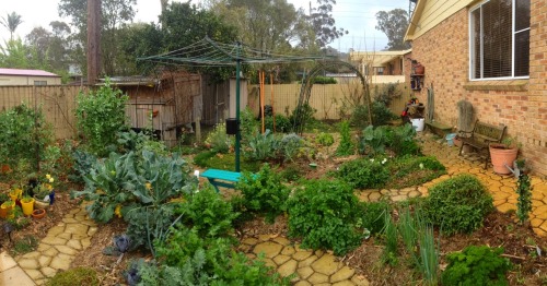 plant-rant:Our garden at the beginning of spring this year. Can’t wait to see how crazy overgrown an