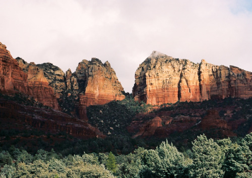 thuscoffee: 	afternoon light by Susan Zhang    