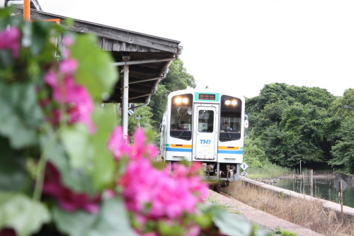 Tenryu-Hamanako line. It runs from Kakegawa to Shinjyohara via northern shore of the Lake Hamana.