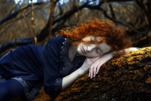 Arsenic Love by Laura Sheridan&rsquo;s Art