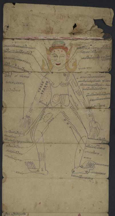 Ms. Coll. 990 Item 12 is an illustrated medical manuscript, written and drawn by many hands in the 1