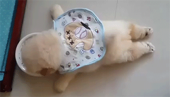 Cry Baby