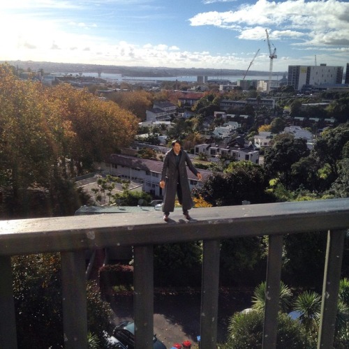 Exploring Auckland with Capt Jack