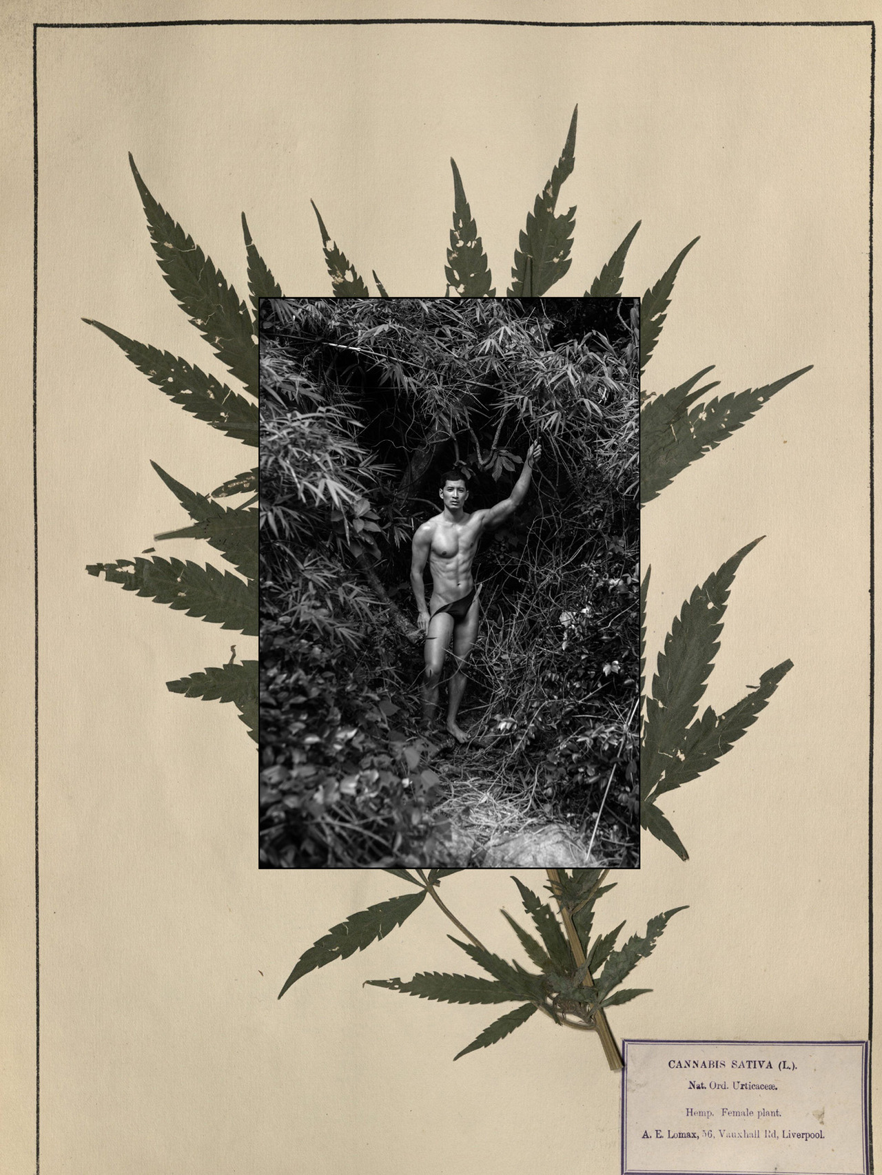 steven-myself:Richie Kul by Baldovino Barani for FACTORY Fanzine