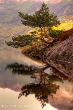 bonitavista:  Loch Lomond. Scotland photo by karl 