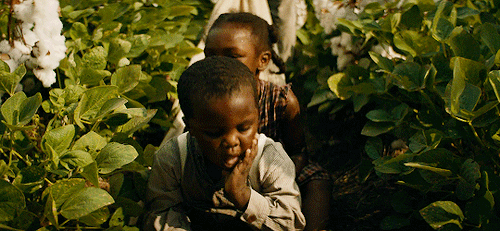 joewright:Female cinematographers: Rachel MorrisonMudbound (2017)Directed by Dee Rees“I mean to me e