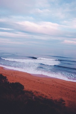 wolverxne:  { Logan’s Beach Whale nursery, Australia } 